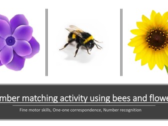 Bee and number matching. EYFS. Number recognition, one-one correspondence, counting.fine motor skill