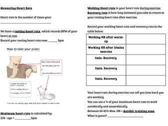 Measuring Heart Rate