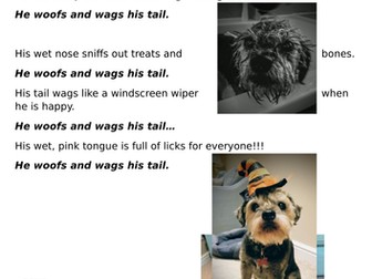 Pet Poems plus extra guided reading and grammar sheets