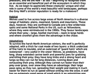 A Non-Chronological report on wolves