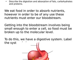 Digestion - AQA A-Level