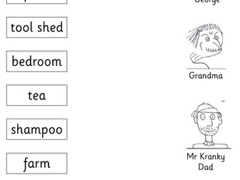 George's Marvellous Medicine based SPAG activity