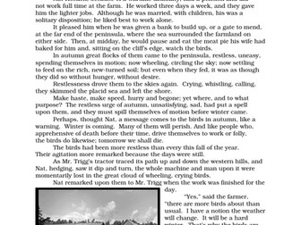 Examining narrative The Birds by Daphne du Maurier (AQA GCSE Language Paper 1)