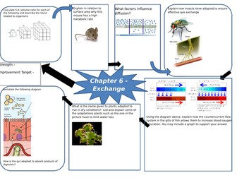 A-Level Biology Revision Maps