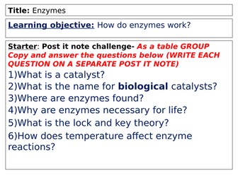 AQA Enzymes