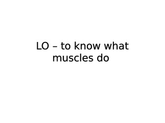 Muscles Introductory Powerpoint