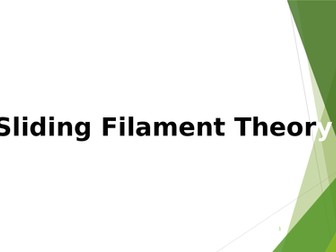 Sliding Filament Theory A-level lesson