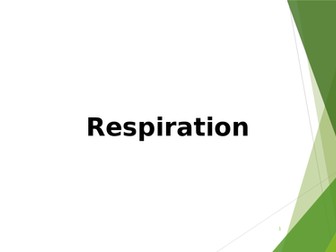 Respiration A-level lesson