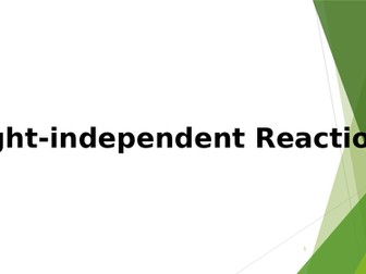 Light-independent reactions photosynthesis Calvin cycle A-level lesson