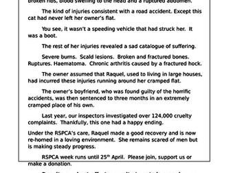 KS3 Non-Fiction unit