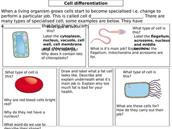 Cell differentiation A3 sheet