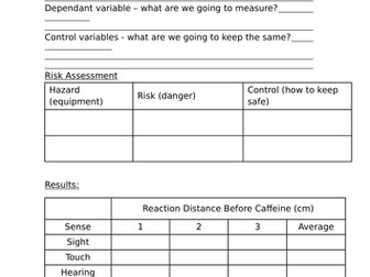 Reaction Time / Distance Worksheets (Differentiated)