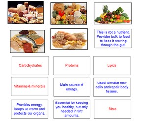 Biology Nutrient plenary cards KS3