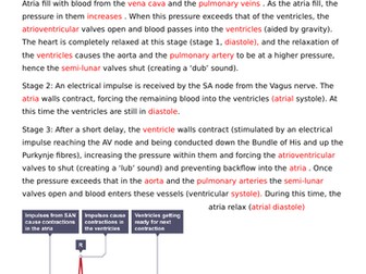 The Heart and Cardiac Cycle revision sheets