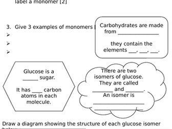 Biological Molecules Carbohydrates Revision