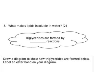 Biological Molecules Lipids Revision