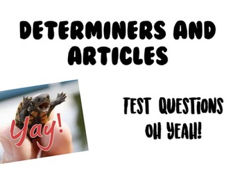 Year 6 Practice Punctuation and Grammar (SPaG) Test Questions Bundle