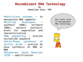 A level - Recombinant DNA Technology