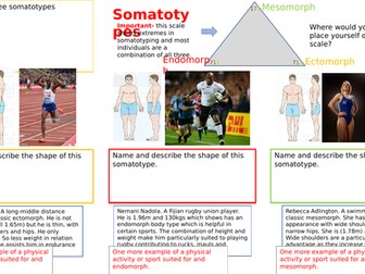 AQA GCSE PE 2018 grades 9-1 Somatotype learning mat.