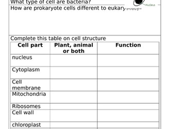 GCSE CELLS REVISION AQA 9-1