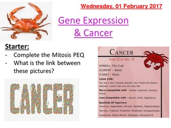 AQA Gene Expression & Cancer (Year 2)