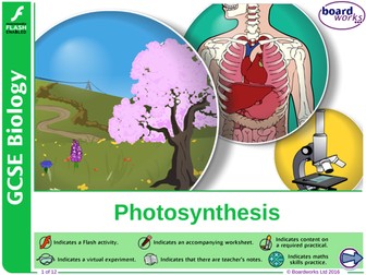 Photosynthesis - Inverse square law