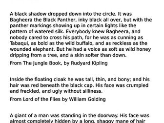 Year 6 Greater Depth Character Description using Creative Imitation