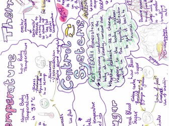 Control systems  - homeostasis, theromo regulation, body temp etc.