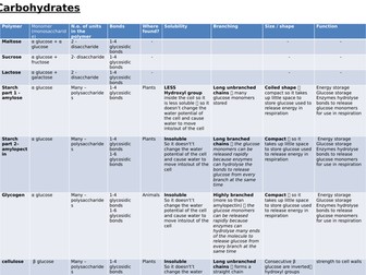Summary Biological Molecules - Polymers - A Level OCR