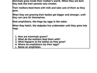 Science - Animals and babies