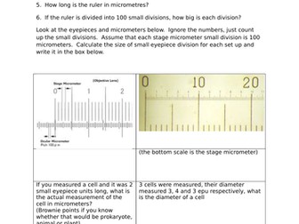 Microscope calibration practice