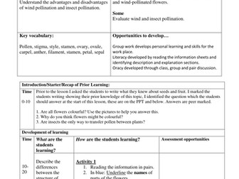 Pollination Literacy KS3