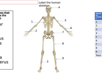Label the major bones of the skeleton.