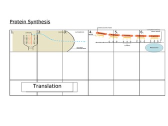 Protein Synthesis - Full Lesson