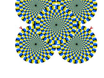 Optical Illusion planning and pictures