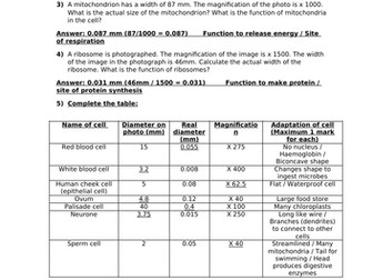 Microscopy Worksheet and Mark Scheme