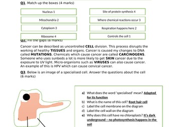 Cell Biology Subject Knowledge Mini Test and Mark Scheme