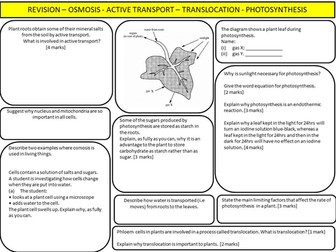 REVISION – OSMOSIS - ACTIVE TRANSPORT – TRANSLOCATION - PHOTOSYNTHESIS