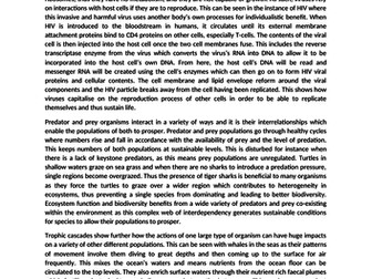 Top mark A-Level Biology Essay - Different types of relationships and interactions between organisms