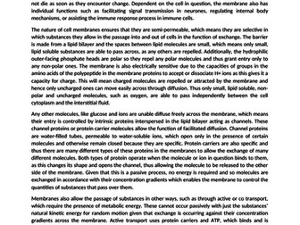 The functions of enzymes and their importance in organisms essay image