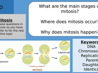 Meiosis