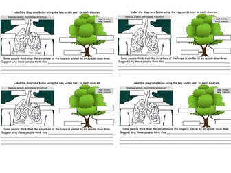 KS3 Smoking, Asthma and Gas Exchange