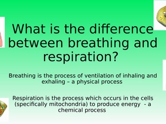 Aerobic Respiration - Activate KS3