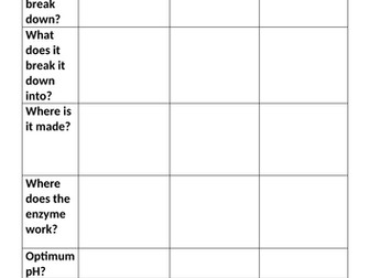 GCSE Biology Digestive Enzymes