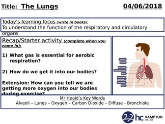 GCSE Biology - The Lungs