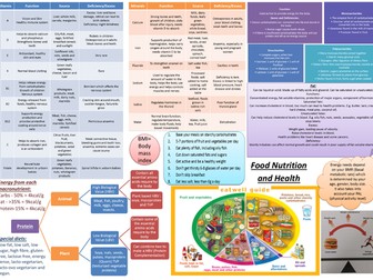 Revision Summary Sheet: Food Nutrition and Health