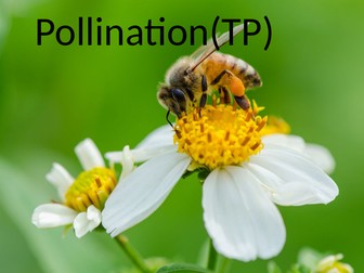 Pollination