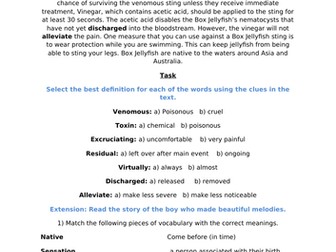 vocabulary in context - 2 abilities