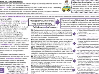 AQA Philosophy A Level - Philosophy of Mind Revision Sheet (Mind-Brain Type Identity Theory)