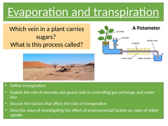Evaporation and transpiration AQA Appropriate